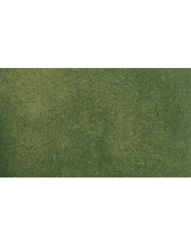 WOODLAND RG5172 CESPED TAPIZ GREEN 63x83