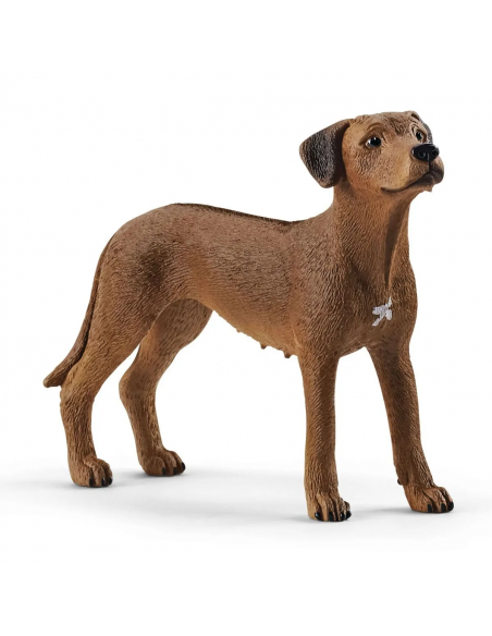 SCHLEICH 13895 PERRO CRESTADO RODESIANO