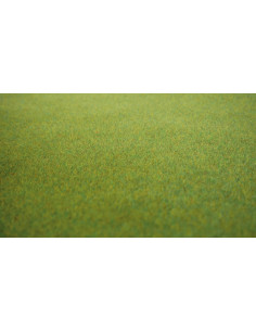 copy of Revista TREN online Nº30 2