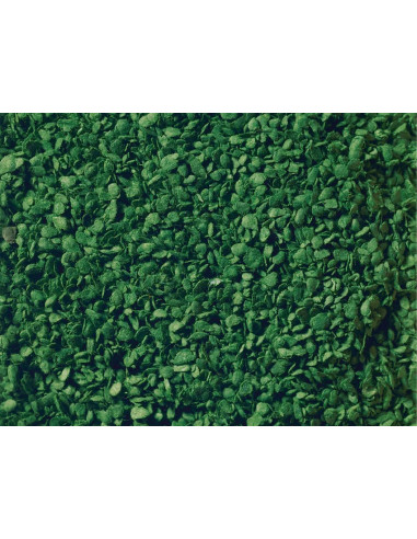 copy of Revista TREN online Nº30