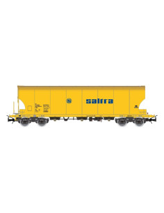 HO ELECTROTREN HE6091 SALTRA RENFE